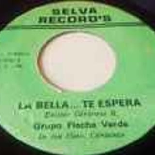 Portada — Grupo Flecha Verde